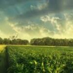 African leaders neglect world’s largest carbon capture opportunity farmbiz africa