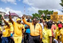 Alan’s boys damaged NPP electorally and reputationally – Hackman