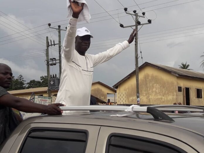 NPP Western region Chairman