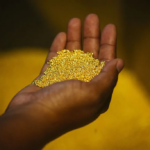 Mali wins $160m in gold mining dispute after detaining British businessman