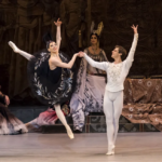 Ballet star dies after falling from building