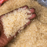 Rice glut deepens as farmers struggle to sell last year’s harvest