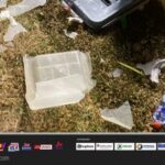 ballot boxes destroyed at Ayawaso Central