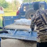 56-year-old farmer allegedly killed by bee attack in Nkwasiatan