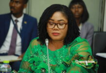 “Swearing-in fiasco broke me” – Naa Momo Lartey