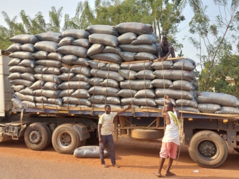 Police arrest 3 in connection with alleged cocoa bean smuggling