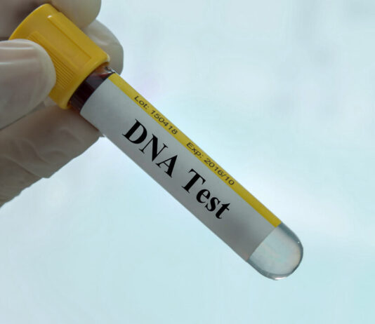 About 42% of paternity tests in Ghana exclude alleged fathers – Report