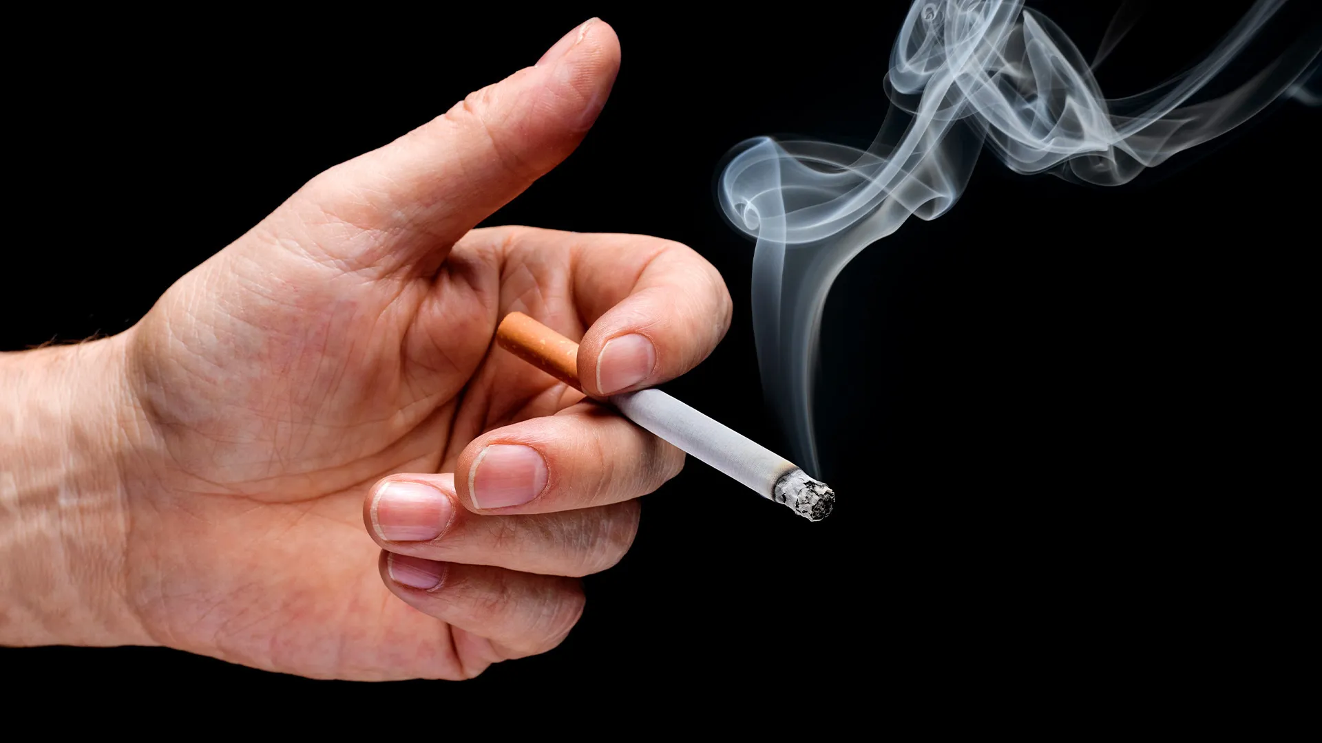 bugs bunny cigarette gif Looney Tunes Smoking GIF by Dave Bell