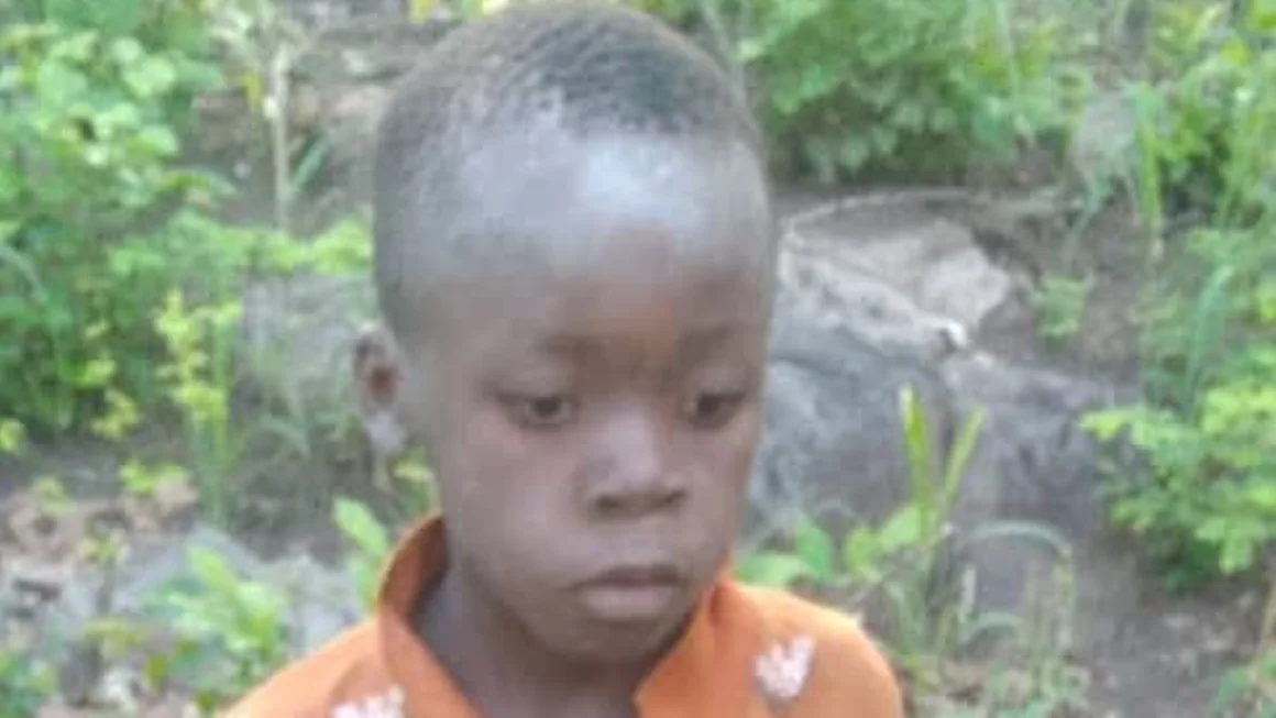 7yearold boy rescued after five days in lioninfested Zimbabwean park