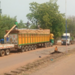 COCOBOD seizes three trucks with smuggled cocoa and lumber in Bono Region