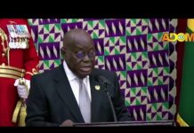 2024 SONA: I was prepared to put my presidency on the line – Akufo-Addo on galamsey