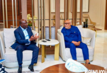 Former Vice President Dr. Mahamudu Bawumia and UN Resident Coordinator in Ghana, Charles Abani during their meeting