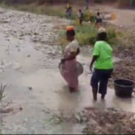 Gulumpe residents forced to share water with livestock