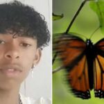 Teen dies after injecting himself with butterfly remains