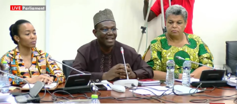 Vetting Chaos: Special Committee to submit report to Speaker today