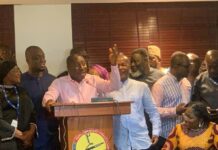 The Majority Leader, Alexander Afenyo-Markin,