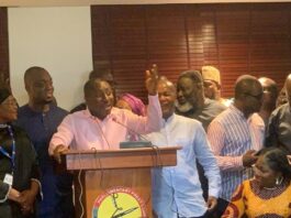 The Majority Leader, Alexander Afenyo-Markin,