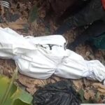 Missing woman reportedly found dead in plantain grove at Mempeasem