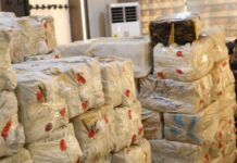 NACOC warns public against fake cannabis licensing agents