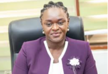 EPA Chief Executive Officer, Prof Nana Ama Browne Klutse