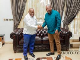 Give credit to Akufo-Addo for starting E-Visa system — Minority tells gov’t
