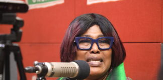 Nana Yaa Jantuah advises NPP to skip 2028 elections