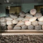 Immigration Service foils cocoa smuggling attempt at Kauk-Jago border