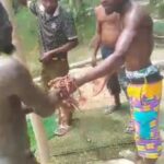 Police probe viral assault video of suspected thief