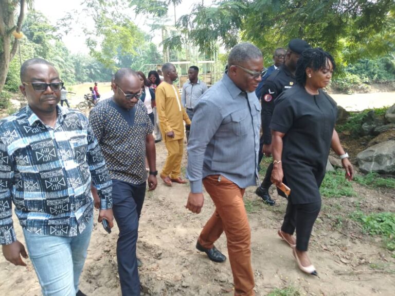 E/R Minister assures GWCL of quality raw water as she clampdown on illegal miners