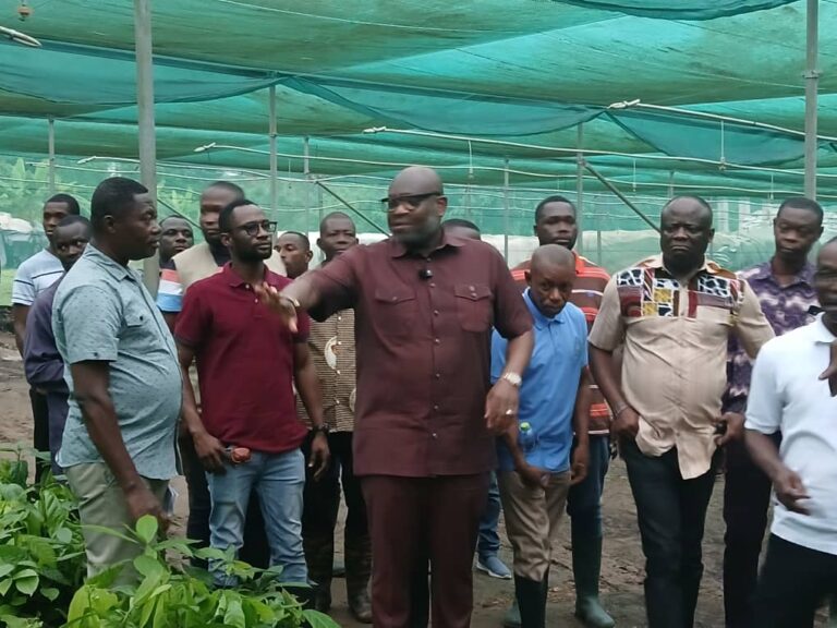 COCOBOD CEO to announce new cocoa farmgate price to surpass Ivory Coast