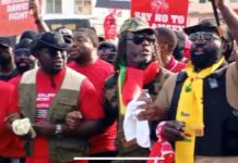 Okatakyie Afrifa-Mensah’s anti-galamsey demo suspended
