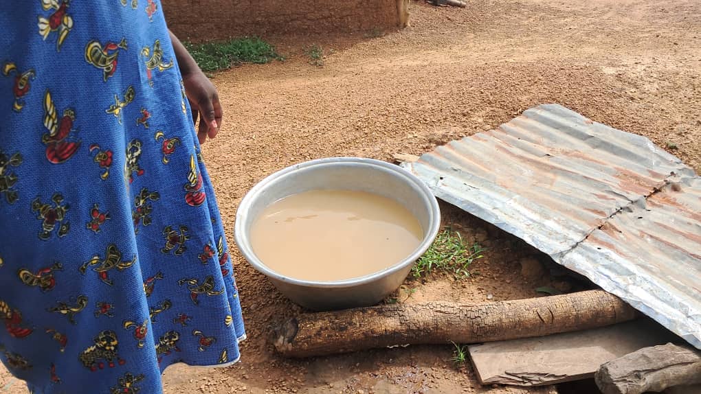 We drink with animals – Ofosu residents cry for help despite first borehole from AgroCrown
