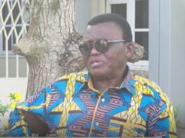 There is a cabal in electricity sector determined to rip off Ghanaians – Prof Agyemang-Duah