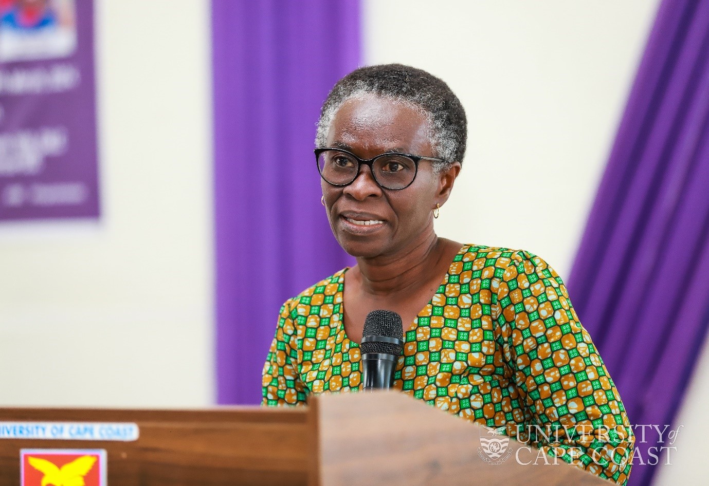 Prof. Akua Opokua Britwum chairs National Media Commission