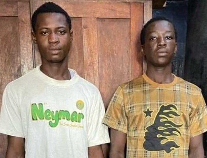 Two jailed for stealing Immigration Officer’s pistol and ammunition in Walewale