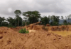 Illegal Miners Invade Akyem Ankaase Farms, Destroy Properties Amid Rising Tensions