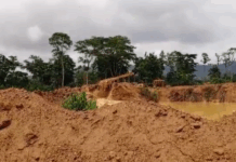 Illegal Miners Invade Akyem Ankaase Farms, Destroy Properties Amid Rising Tensions