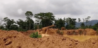 Illegal Miners Invade Akyem Ankaase Farms, Destroy Properties Amid Rising Tensions
