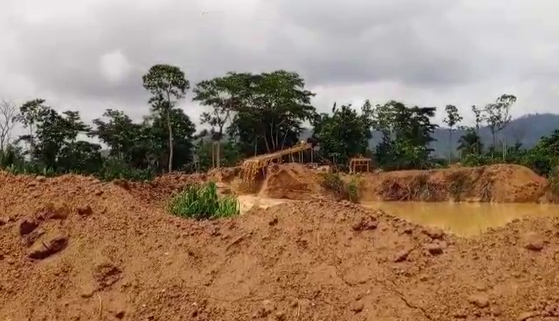Illegal Miners Invade Akyem Ankaase Farms, Destroy Properties Amid Rising Tensions