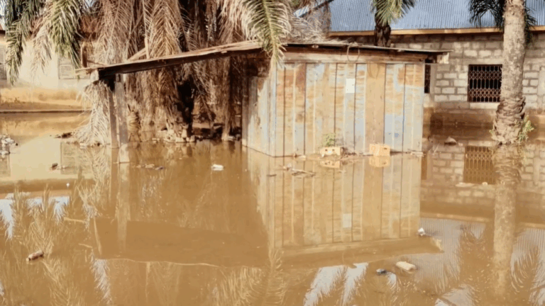 Perennial flooding shows leadership takes citizens for granted – Prof. Appiagyei-Atua