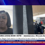 Galamsey: Hannah Bissiw recounts ‘hostage-style’ attack after raid at Bui Sobinso