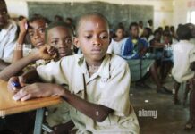 Precious Baba leads grassroots fight against Malaria in Zimbabwe and Cameroon