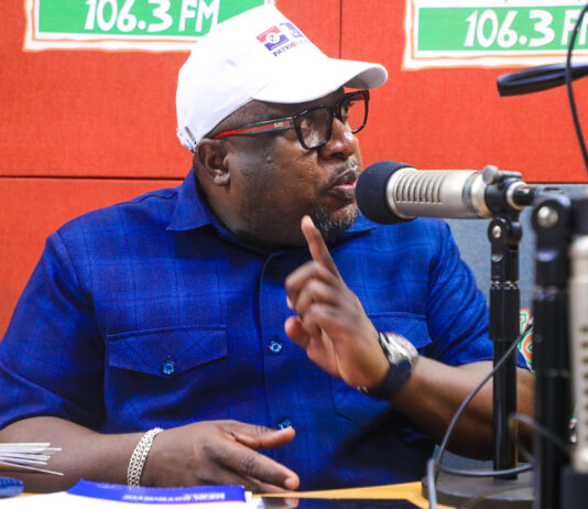 NPP Primaries: Only police to handle security – Nana B