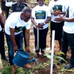 Atwima Nwabiagya South MCE takes steps to reclaim degraded lands through tree planting