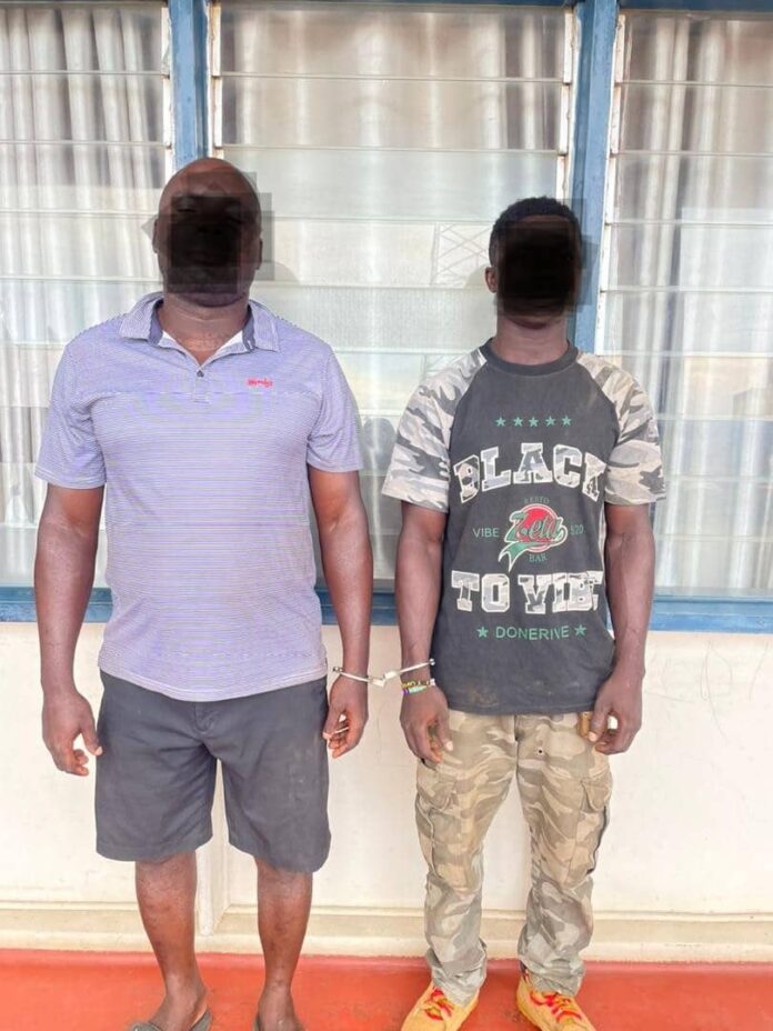 Cocoa smuggling Elmina