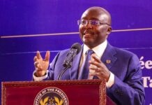 Bawumia not to blame for NPP’s 2024 defeat – Nana Akomea