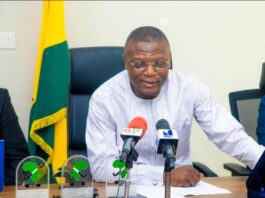 2026 WCQ: Shut up – Sannie Daara slams Kofi Adams over Black Stars budget release