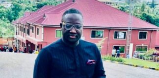 Nana Kweku Ofori Atta, Security Consultant