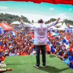 NPP race: “To save the ship, remove the Jonah” – Former MP urges delegates