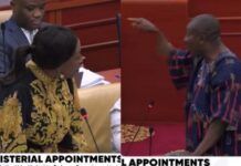 “Apologies don’t come with ‘ifs'” – Dr. Ayensu-Danquah schools Minority Leader